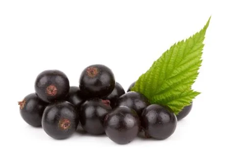 Black currants Stock Photos