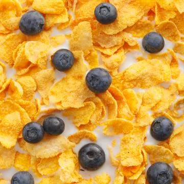 Black currents, cereal and milk Stock Photos