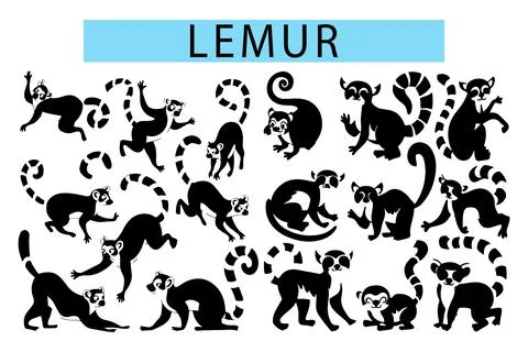 Black cute Lemur vector illustration, Lemur silhouette in white background Ilustración de archivo