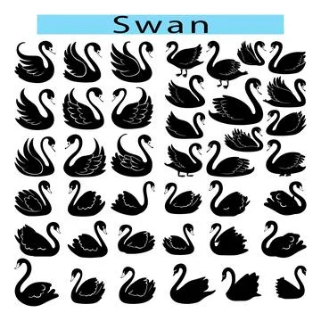 Black cute Swan vector illustration, Swan silhouette vector Illustration