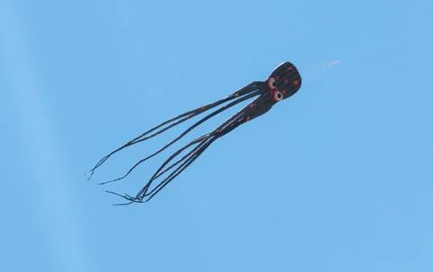 Black cuttlefish or octopus kite flying on the blue sky Stock Photos