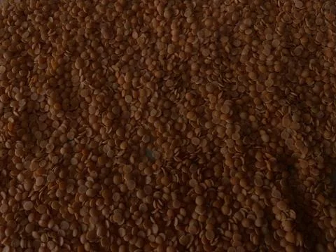 Black dal Foto stock