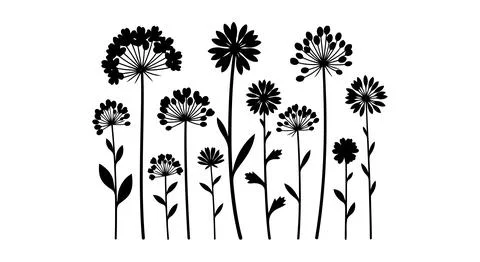Black dandelion flowers set Stock Illustration