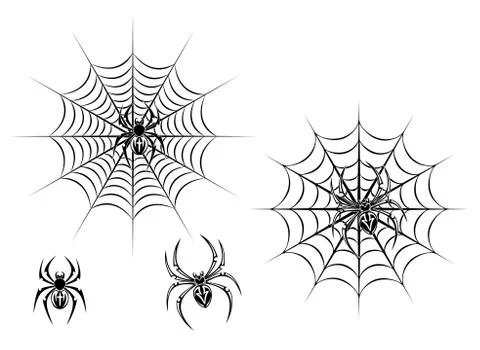 Black danger spiders on web 스톡 일러스트