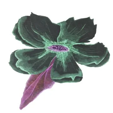 A black, dark flower Stock Illustration