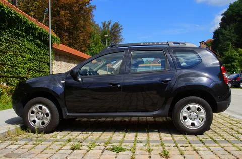 Black Dasia Duster Stock Photos