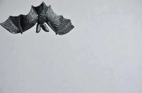 Black decorative bat on a gray background. Stock Photos