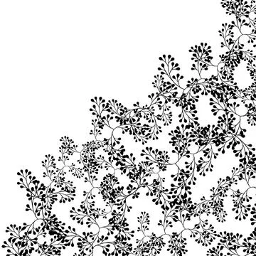 Black Delicate Botanical Corner Ornament On White Background Stock Illustration