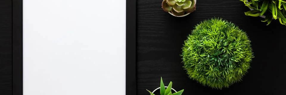 A black desk with an empty frame and a group of green plants. Stock Photos