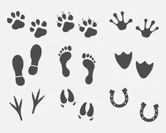 Animal Footprints Variety Of Animal Paw Prints Stock Illustration