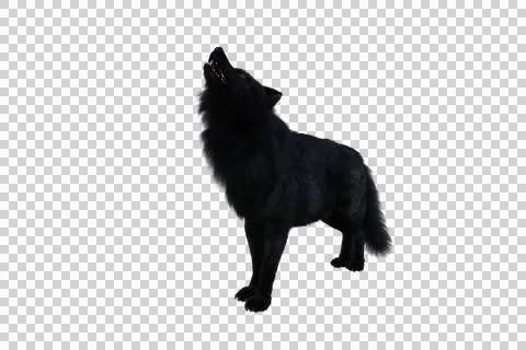Black Dire Wolf howling. 3d illustration isolated on transparent background, Stock Illustration