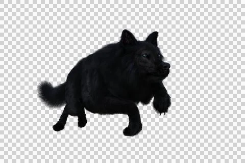 Black Dire Wolf running. 3d illustration isolated on transparent background, Stock Illustration