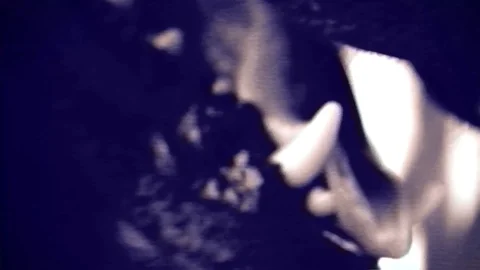 Black dog close up Video stock 102782686