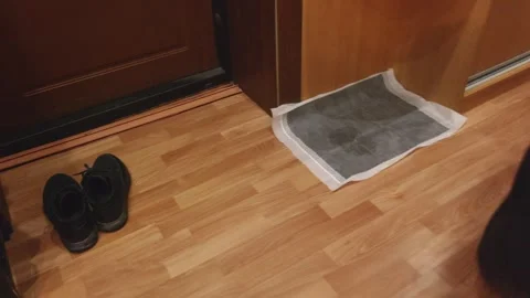 Black dog exploring pet mat in entryway with person nearby Vídeo Stock 345700294