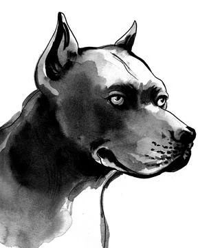 Black dog head Stock Illustration