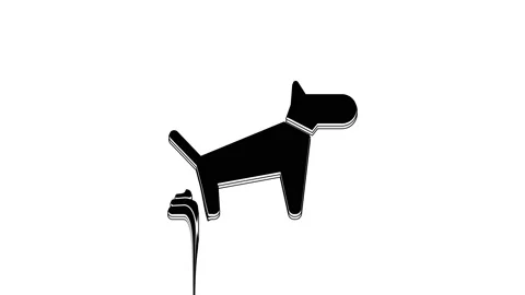 Black Dog pooping icon isolated on Stock Video Pond5