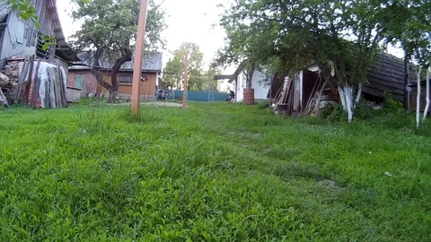 Black dog running into the camera at the house yard. Ukraine, Podillya Stock Footage 77621640