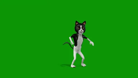 Black dog standing green screen person walking cat across animated chromakey Video stock 314067740