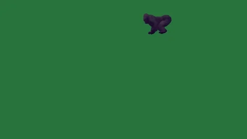 A black dog is standing on green screen and with cat it bear walking across Stock Footage 335122298