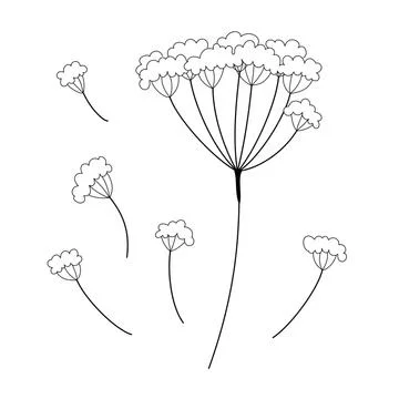 Black doodle contour flower set. Decorative outline vector illustration. Flor Stock Illustration