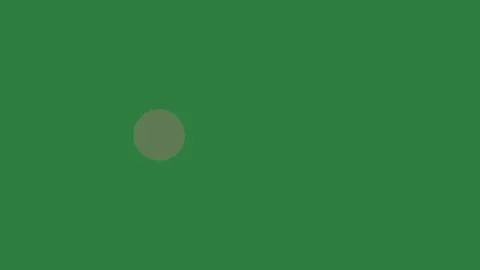 Black dot and background white border two circles circle isolated on green Видео 336954592