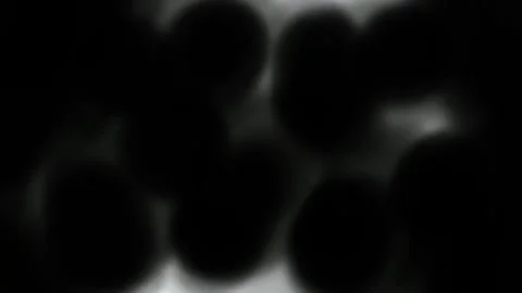 Black dots fill a white background. Disease spreading from ink blots. Stock Stock Footage 339020559