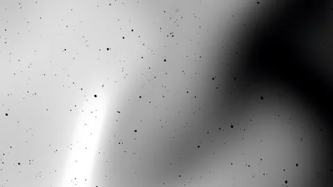 Black dots on white and gray gradient background Abstract and minimalistic Stock Illustration