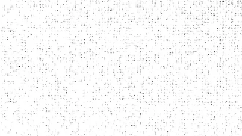 Black Dotted Noise Motion On White Background. Stock Footage 108437563