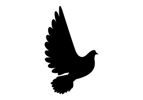 Black dove on white background Stock Illustration
