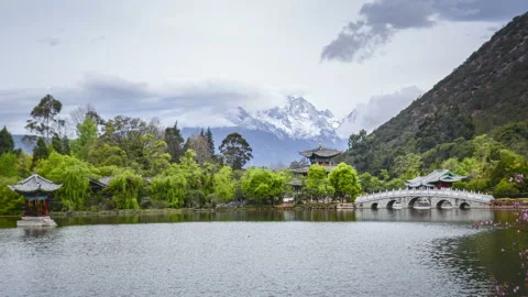 Black Dragon Pool Видео 85725775