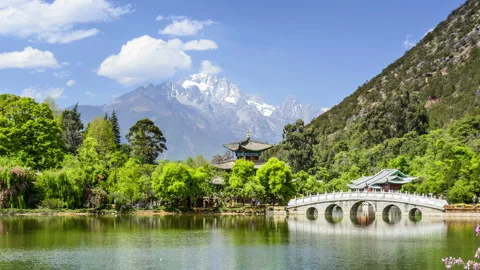 Black Dragon Pool Stockbeeldmateriaal 85743353