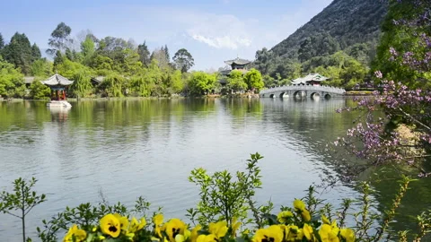 Black Dragon Pool Vídeo Stock 85766333