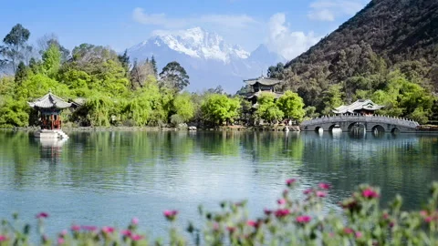 Black Dragon Pool 動画素材 85788439