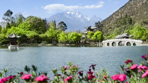 Black Dragon Pool Видео 85801539