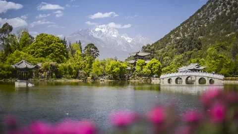 Black Dragon Pool Stockbeeldmateriaal 122508282