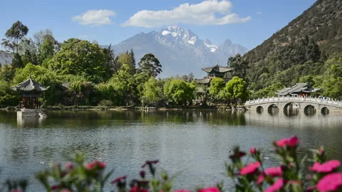 Black Dragon Pool Stockbeeldmateriaal 122522138