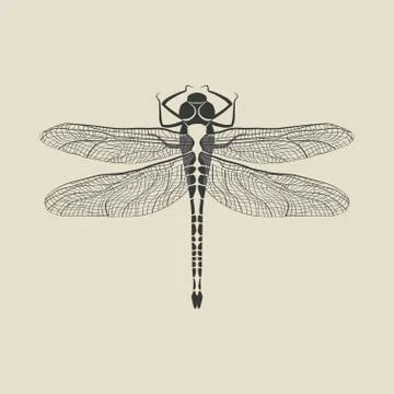 Black dragonfly insect Stock Illustration