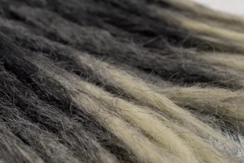 Black dreadlocks with a thin tip at close range Stock Photos