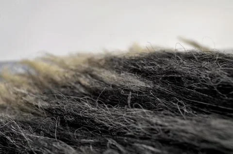 Black dreadlocks with a thin tip at close range Stock Photos