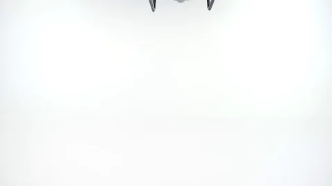 Black drone with camera landing on a white background. Stock Footage 105603856