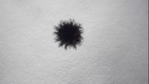A Black Drop Falls On A White Sheet Of Paper And Blurs On It. Background Stock Footage 150431581