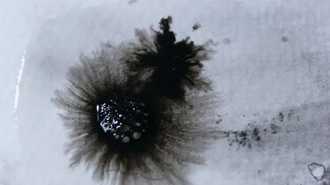 Black drops of ink fall on the white wet paper, expand. Abstract painting. Slow Stock Footage 152219474