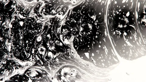 Black Drops Spread on White HD Pro Stock Footage