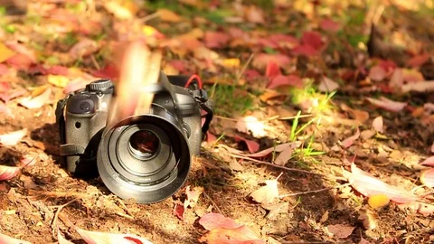 On a black DSLR camera lying on the ground, falling autumn leaves Stock Footage 83330715