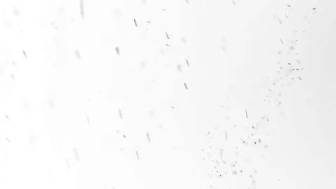 Black dust particles fly on a white background Stock Footage 82167057