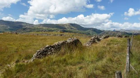 Black Dyke Moss Stock Photos