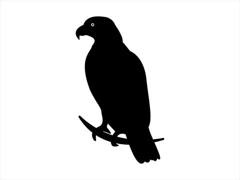 Black Eagle silhouette Vector illustration Stock Illustration