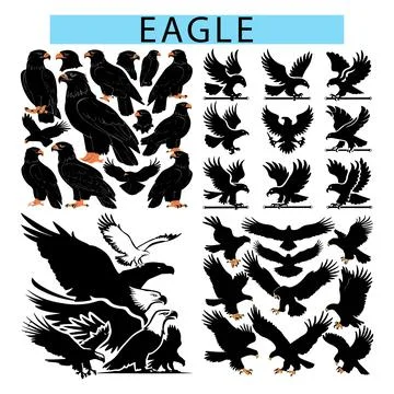 Black Eagle vector illustration, Eagle silhouette vector art Stock Illustration