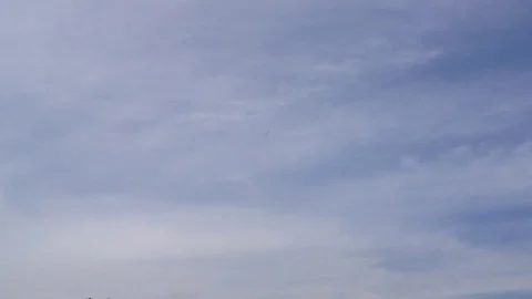 Black eagles Air Show Heart and Cupid Arrow 動画素材 80297065
