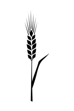 Black ears of wheat. Vector illustration on white isolated background Stock Illustration